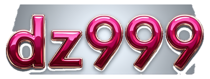 dz999 logo